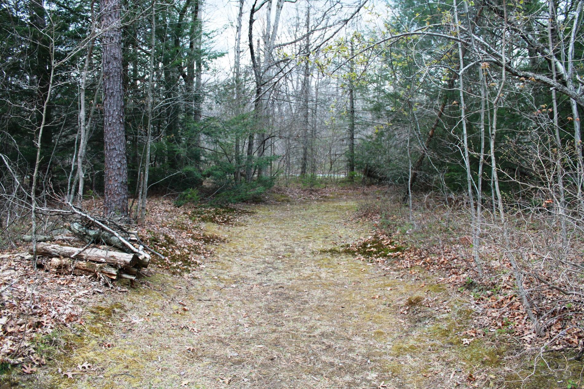 112 Hobby Acres Road Kunkletown, PA 18058 - Photo 50 of 50 path