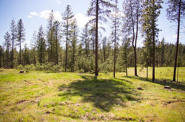 14815 North Country Ridge Lane, Unit LOT 3 Spokane, WA 99208 - Photo 4 of 7