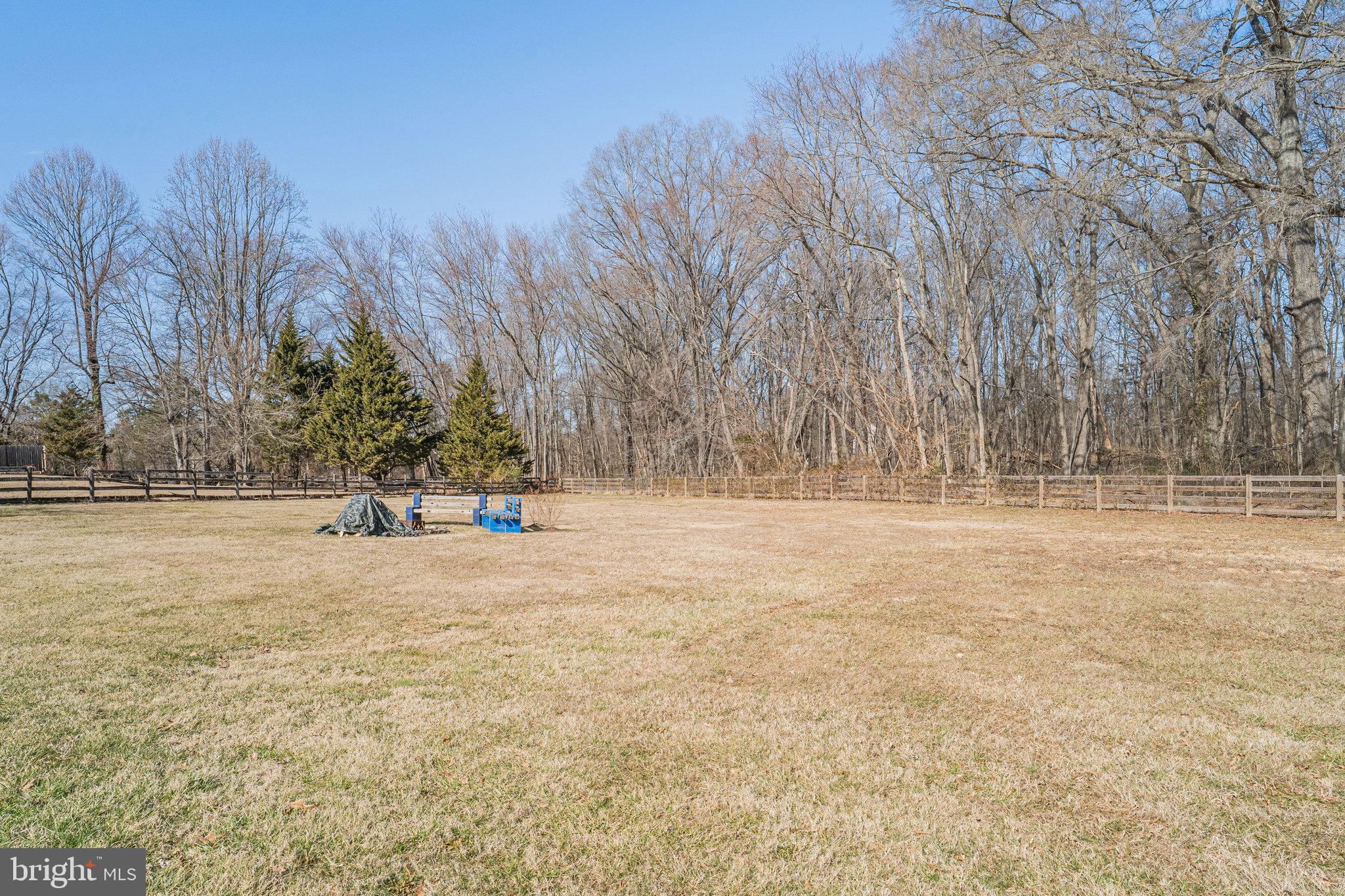 9353 Meetze Road Midland, VA 22728 - Photo 33 of 36 Back Yard