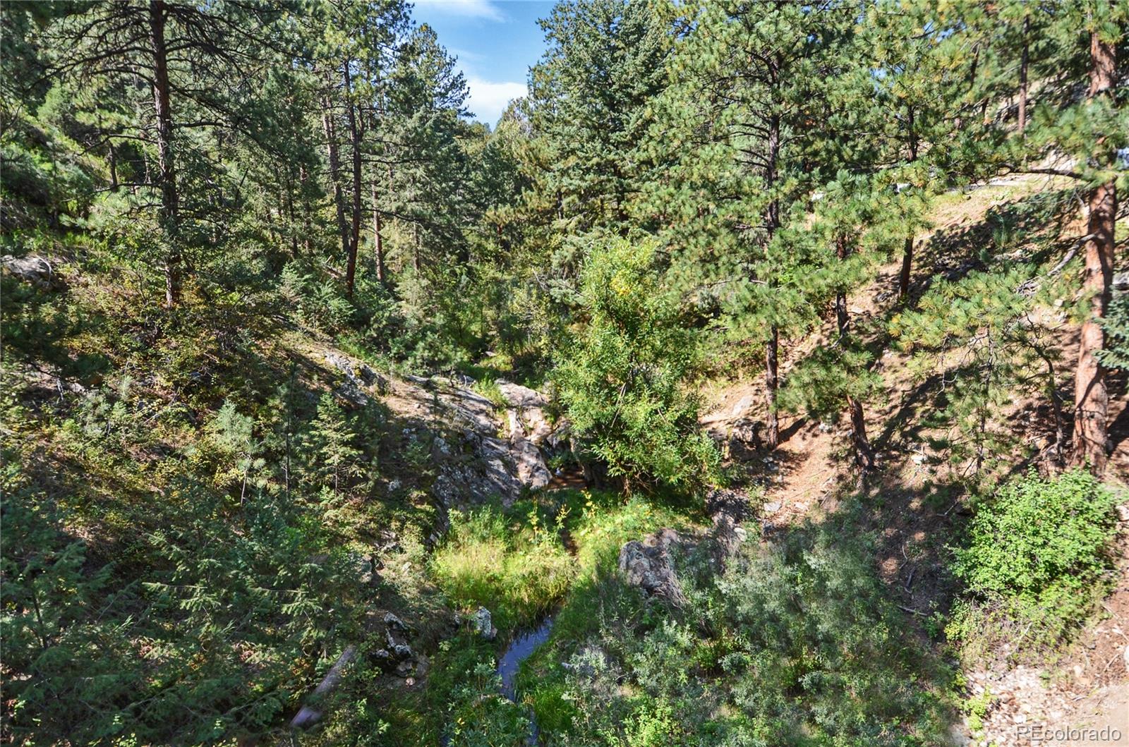 3074 High Road Evergreen, CO 80439 - Photo 35 of 40 a view of a lush green forest