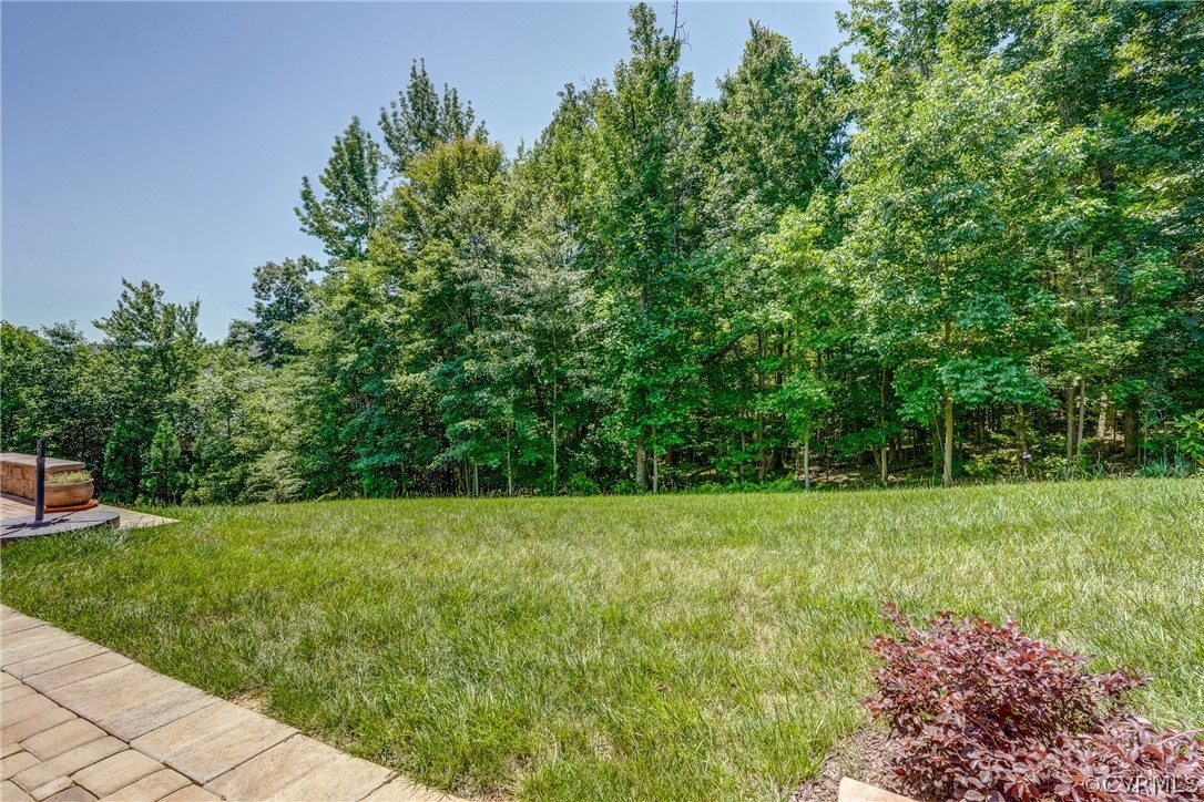 13119 Rodington Court Midlothian, VA 23113 - Photo 44 of 49 a view of a grassy field with trees in the background