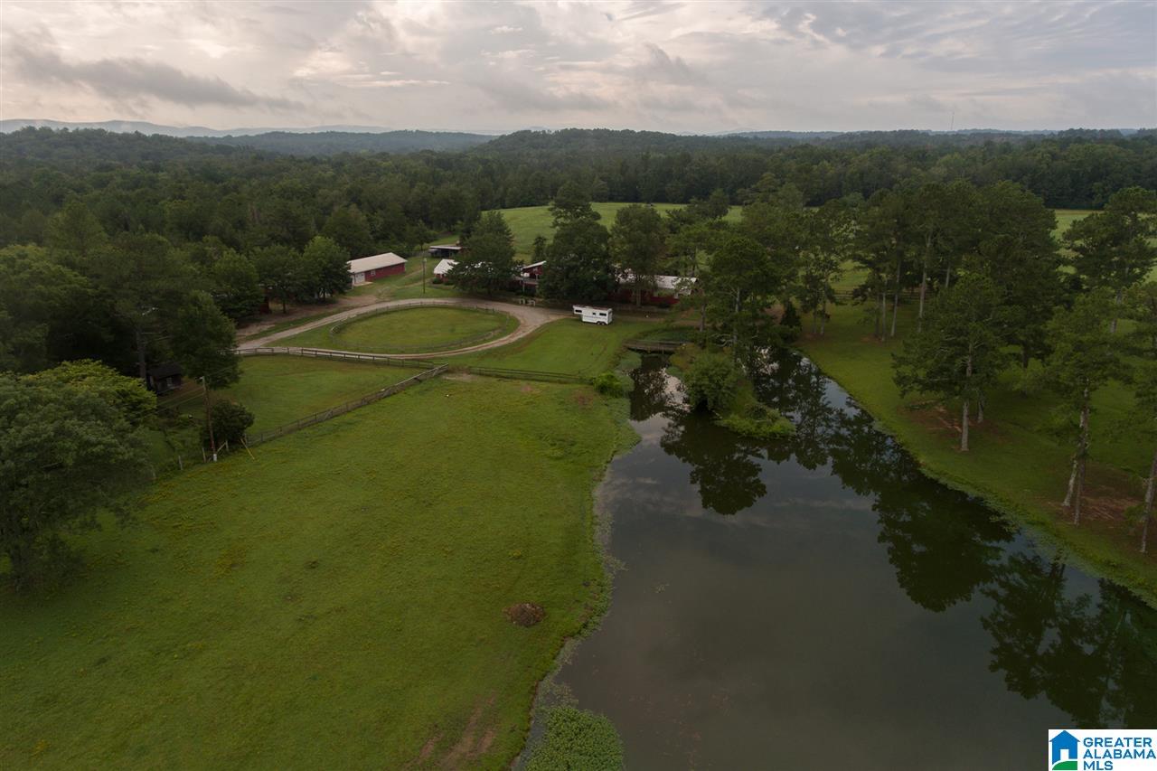 1366 Holland-Finley Road Jacksonville, AL 36265 - Photo 4 of 33
