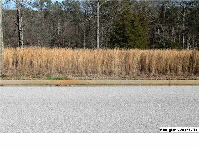 Mount Eagle Lane, Unit 2 Weaver, AL 36277 - Photo 17 of 26