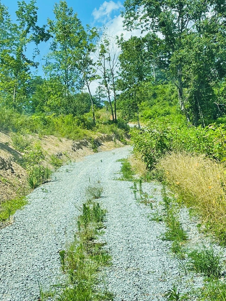 Tbd Gravel Lick Road Cleveland, VA 24225 - Photo 2 of 32 Gallery Image 2