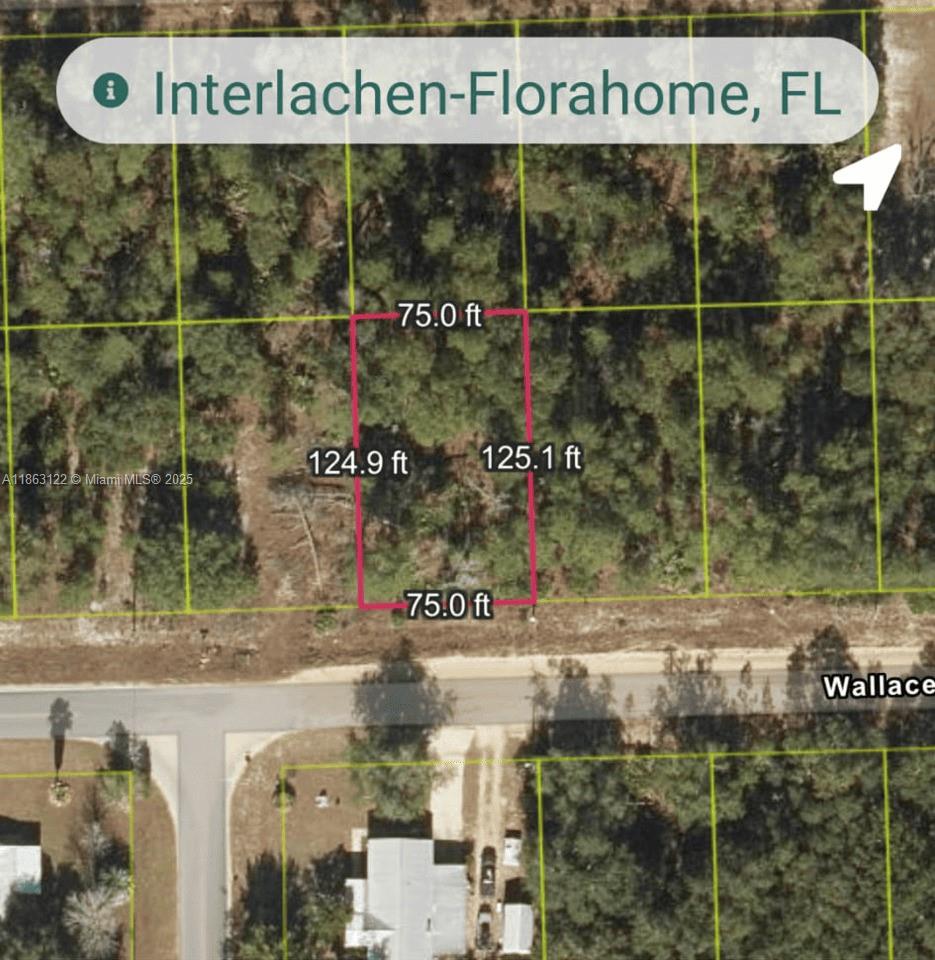 105 Wallace Street Interlachen, FL 32148 - Photo 3 of 7 a view of a street sign