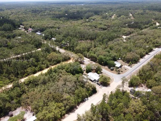 a view of a forest with a forest