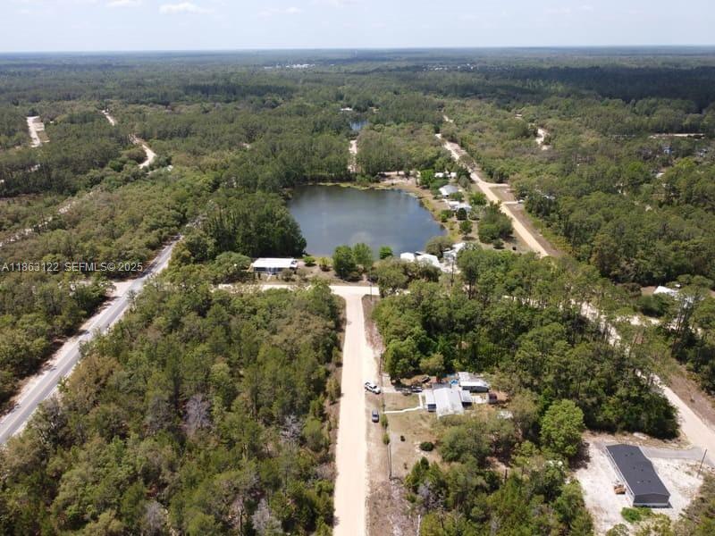 105 Wallace Street Interlachen, FL 32148 - Photo 7 of 7 a view of a city with ocean view