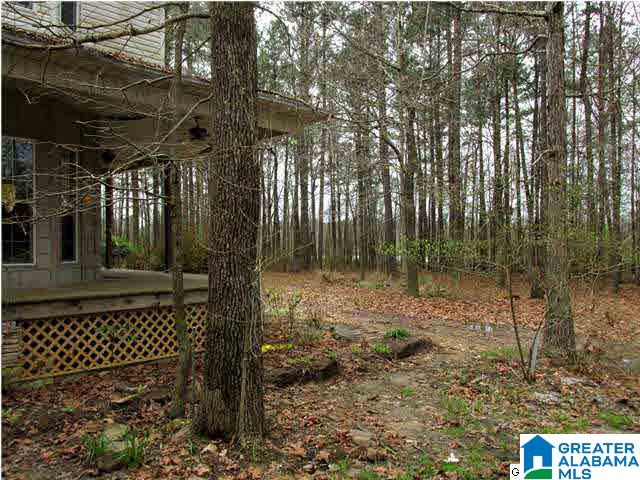 770 Perman Lake Road Rainbow City, AL 35906 - Photo 30 of 32