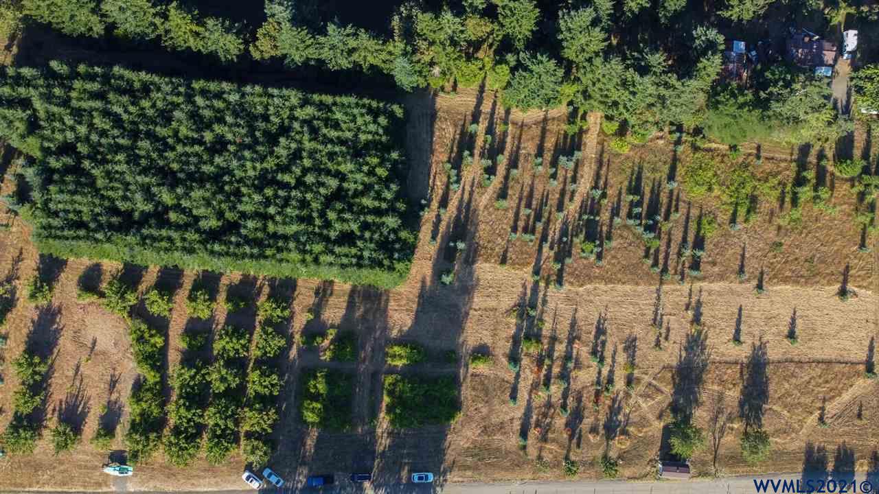 West Larson (lot 18) Road Monroe, OR 97456 - Photo 7 of 21