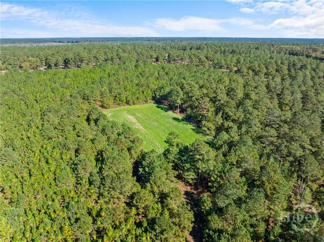 $1,800,000 | 0 Honeyridge Road, Millen, GA 30442