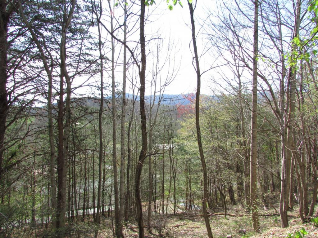 113 Bowman Road Unicoi, TN 37692 - Photo 15 of 16 Photo 15