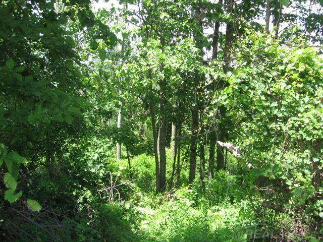 Tbd Burns Line Croswell, MI 48422 - Photo 8 of 19