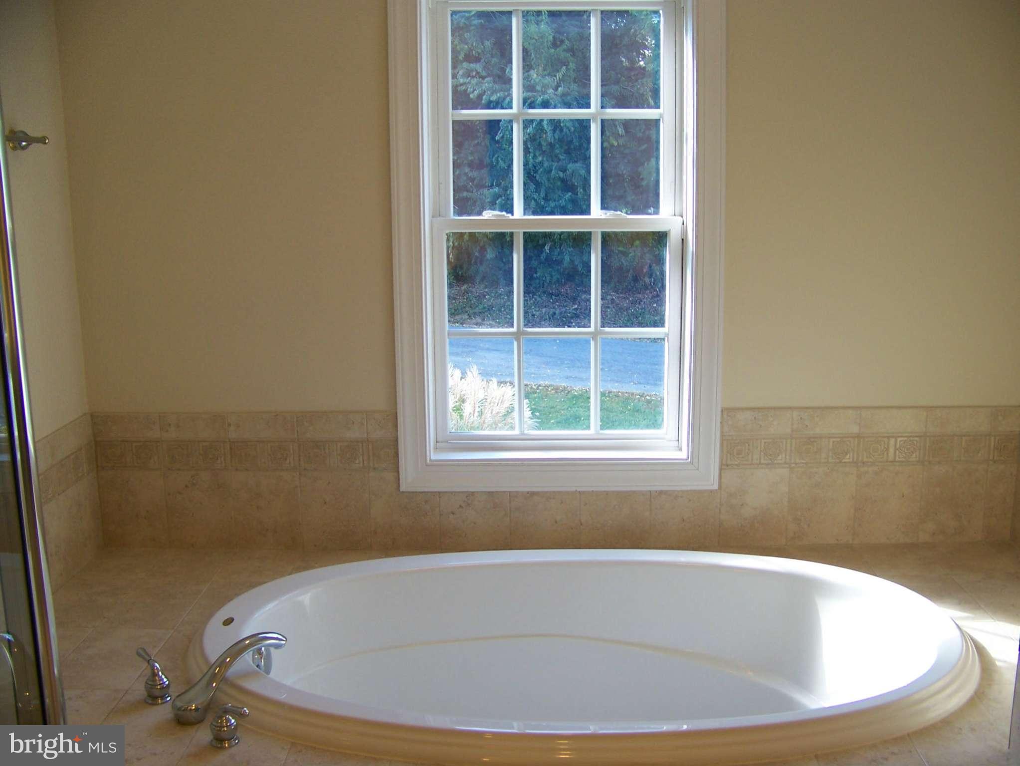 6837 Crickenberger Road New Market, MD 21774 - Photo 19 of 30 Bath (Master)