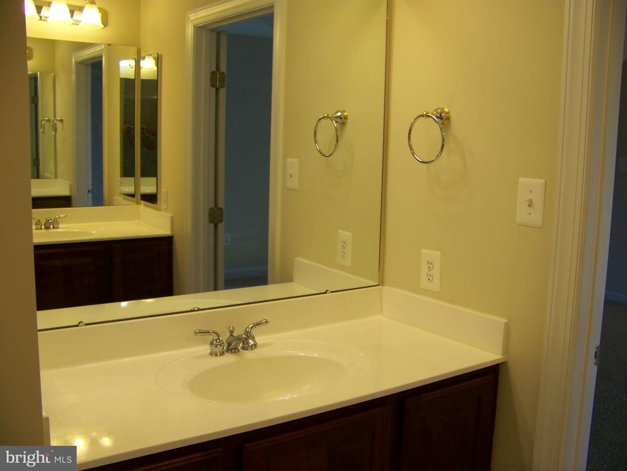 6837 Crickenberger Road New Market, MD 21774 - Photo 21 of 30 Bath (Master)