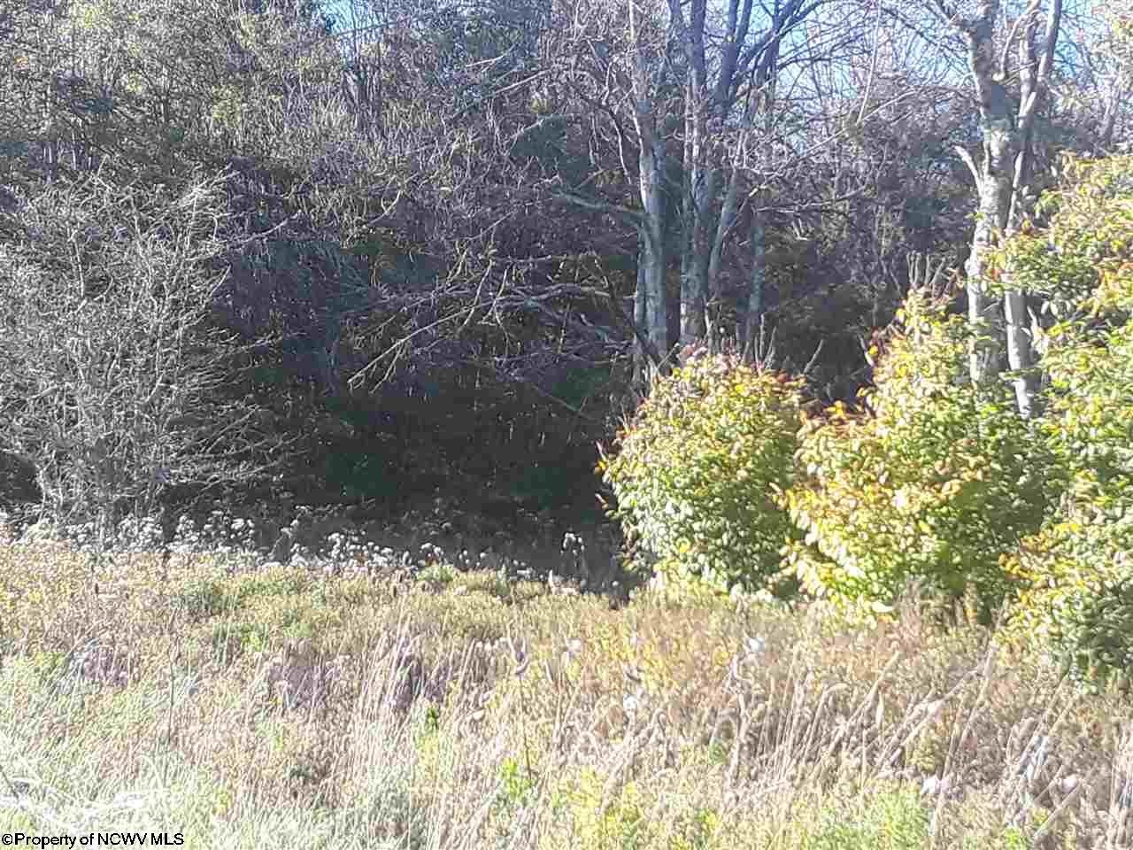 6 Deer Run Road Davis, WV 26260 - Photo 7 of 20 Gallery Image 7