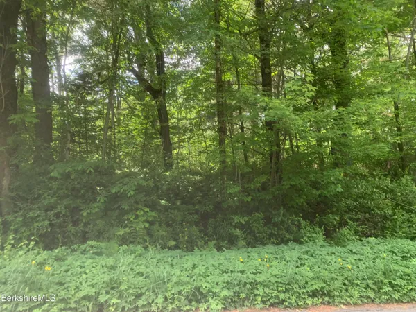 $30,000 | East Windsor Road, Windsor, MA 01270