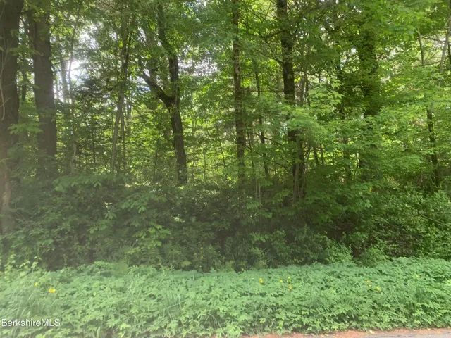 $33,200 | East Windsor Road, Windsor, MA 01270