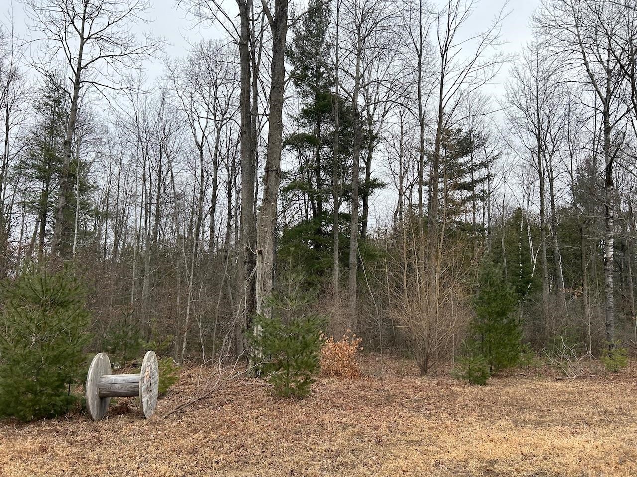 19.2 Acres W M61 Road Gladwin, MI 48624 - Photo 13 of 17