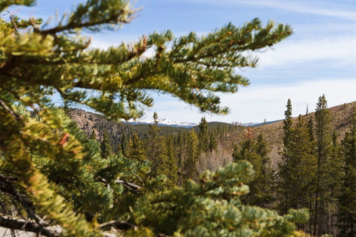 620 Glen Eagle Loop Breckenridge, CO 80424 - Photo 13 of 35 a view of a houses