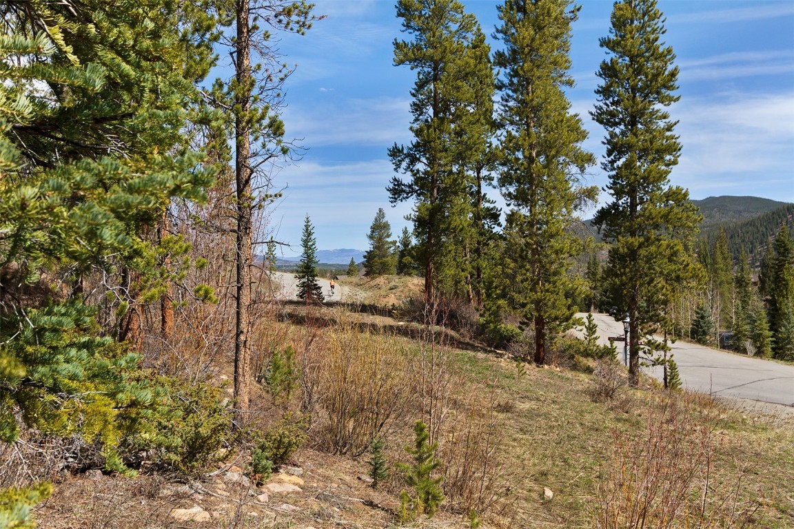 620 Glen Eagle Loop Breckenridge, CO 80424 - Photo 14 of 35 a view of a yard with plants and trees