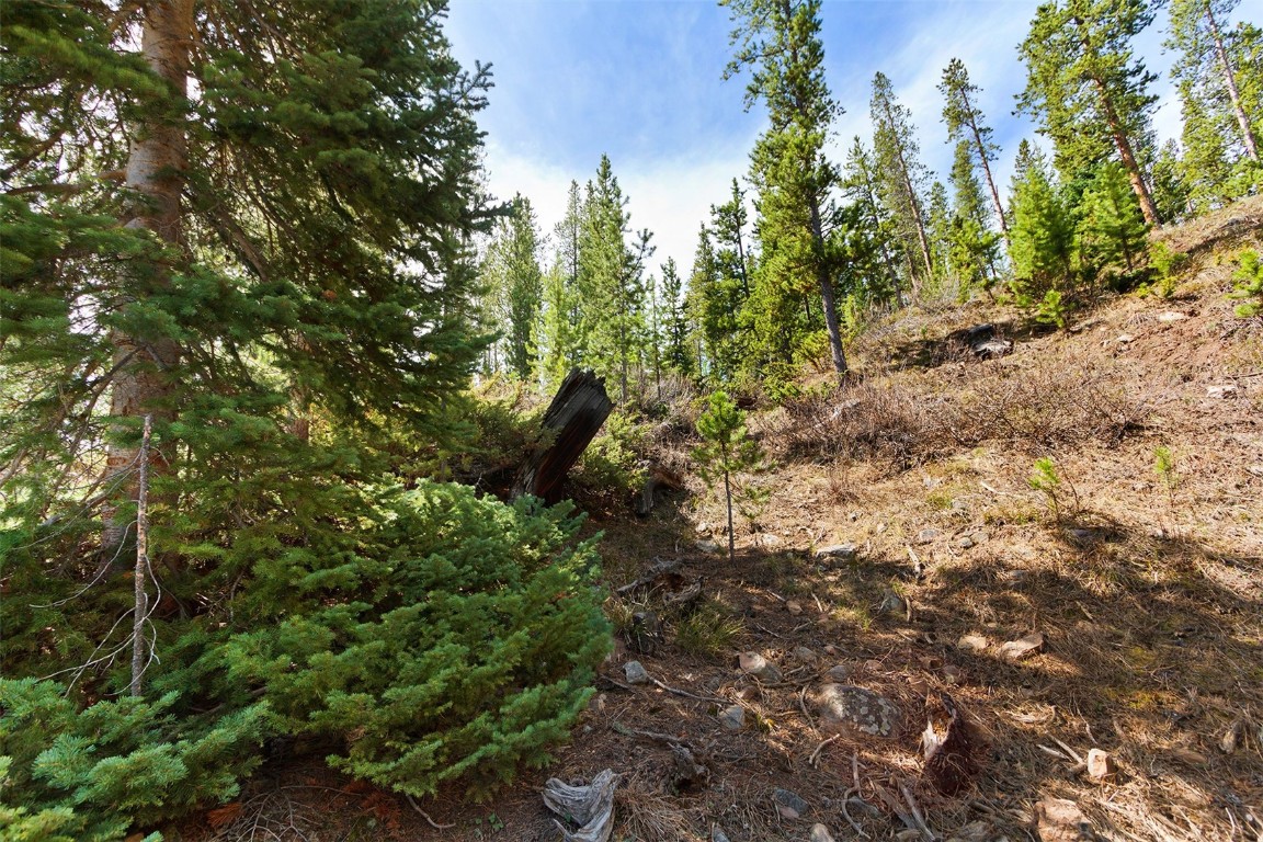 620 Glen Eagle Loop Breckenridge, CO 80424 - Photo 15 of 35 a view of a plants and yard