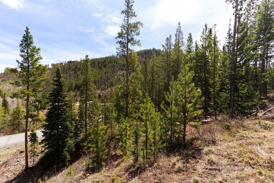 620 Glen Eagle Loop Breckenridge, CO 80424 - Photo 17 of 35 a view of a yard with a tree
