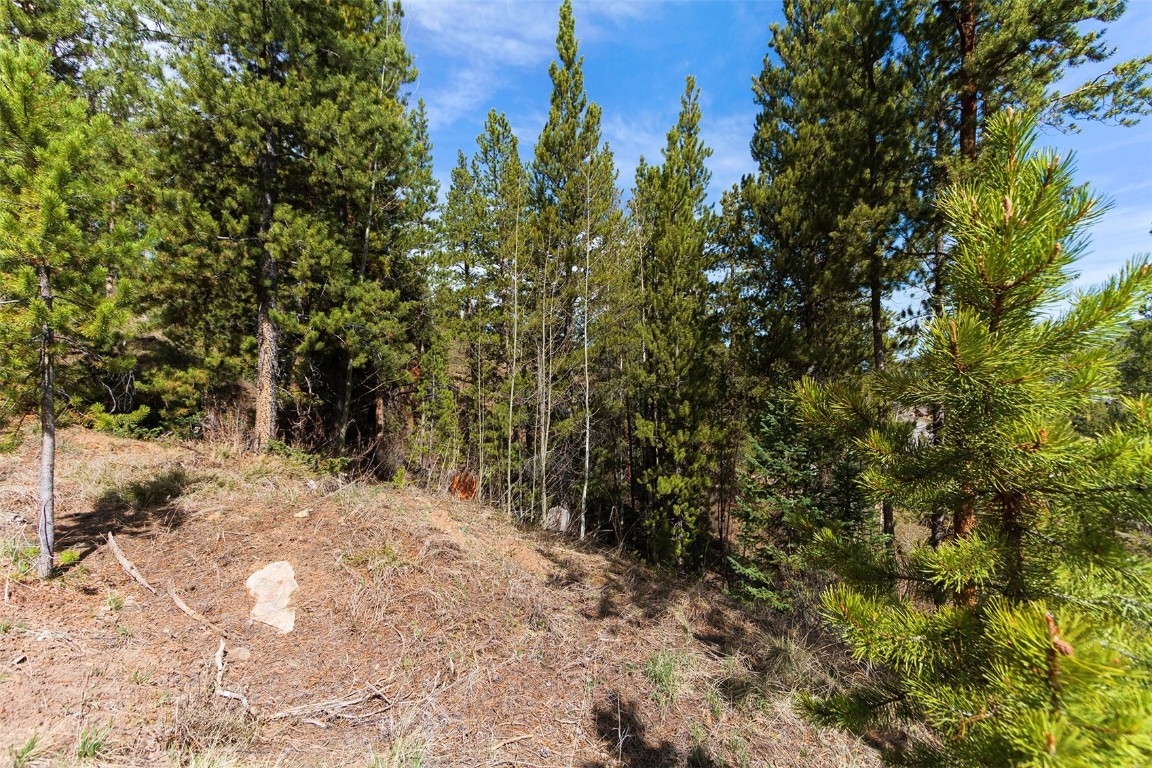 620 Glen Eagle Loop Breckenridge, CO 80424 - Photo 18 of 35 a view of a yard with plants and trees
