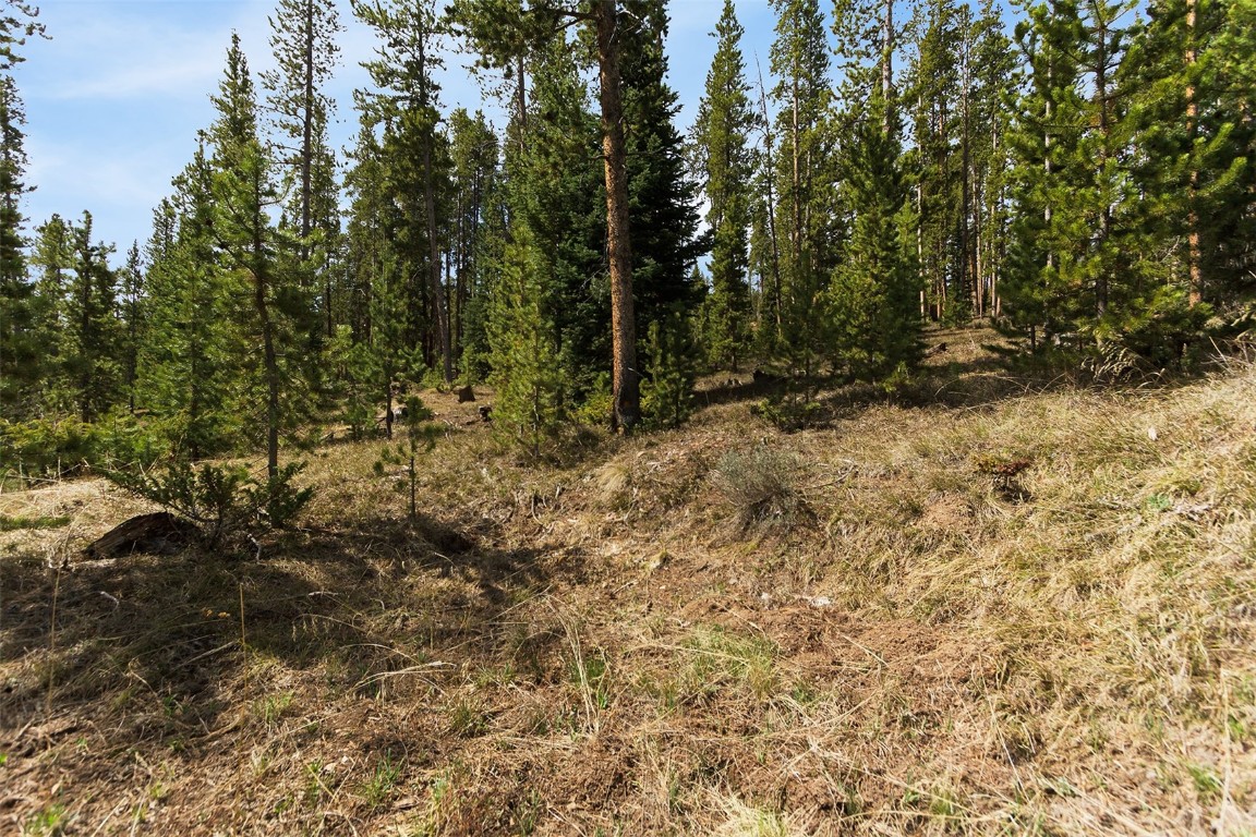 620 Glen Eagle Loop Breckenridge, CO 80424 - Photo 19 of 35 a view of a yard with plants and trees