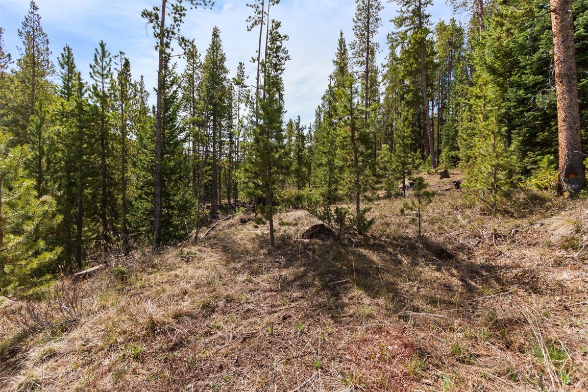 620 Glen Eagle Loop Breckenridge, CO 80424 - Photo 20 of 35 a view of a forest with trees in the background