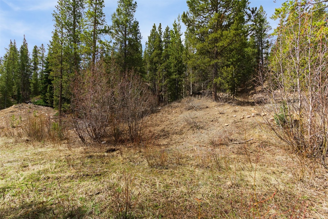620 Glen Eagle Loop Breckenridge, CO 80424 - Photo 21 of 35 a view of a yard with large trees