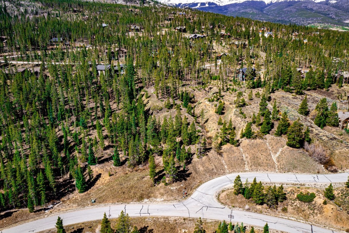 620 Glen Eagle Loop Breckenridge, CO 80424 - Photo 27 of 35 a view of a yard with plants and large trees