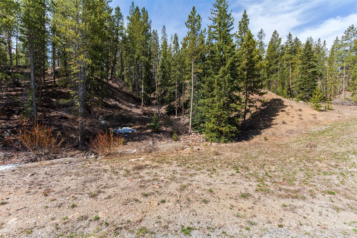 620 Glen Eagle Loop Breckenridge, CO 80424 - Photo 7 of 35 a view of lot of trees with trees