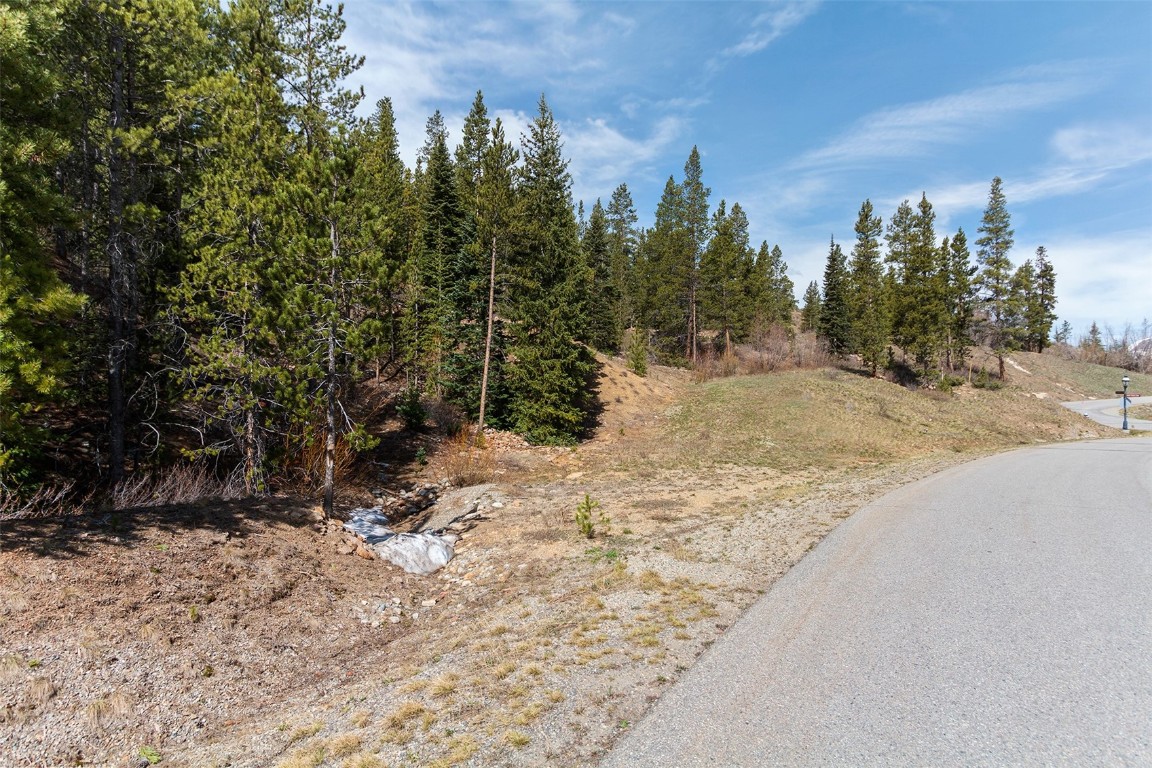 620 Glen Eagle Loop Breckenridge, CO 80424 - Photo 8 of 35 a view of a yard with a tree