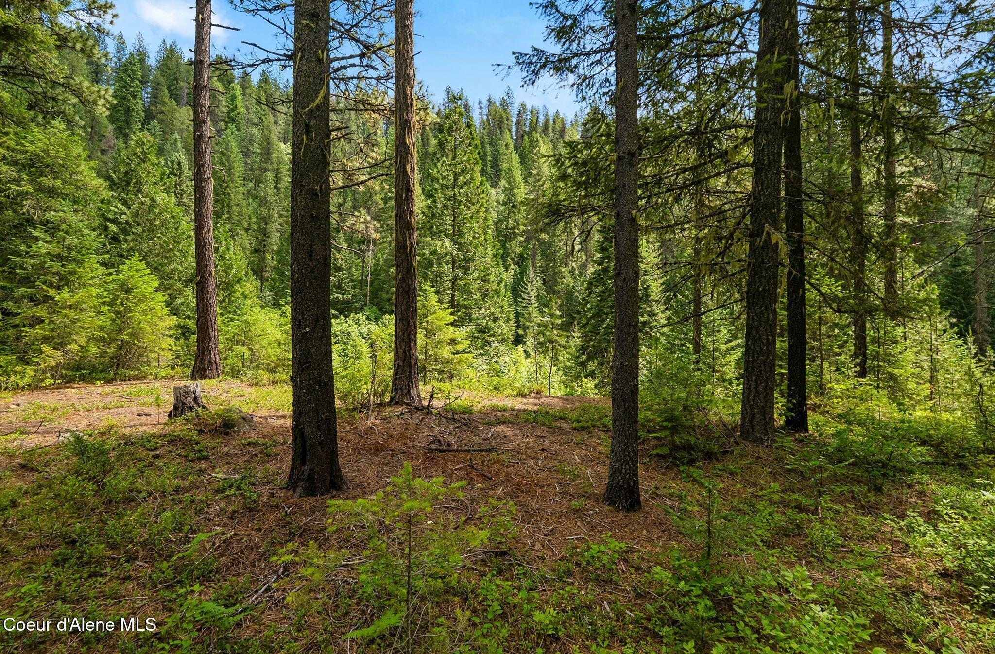 Nna Lantern Lane Sandpoint, ID 83864 - Photo 3 of 29 Level high and dry building site!