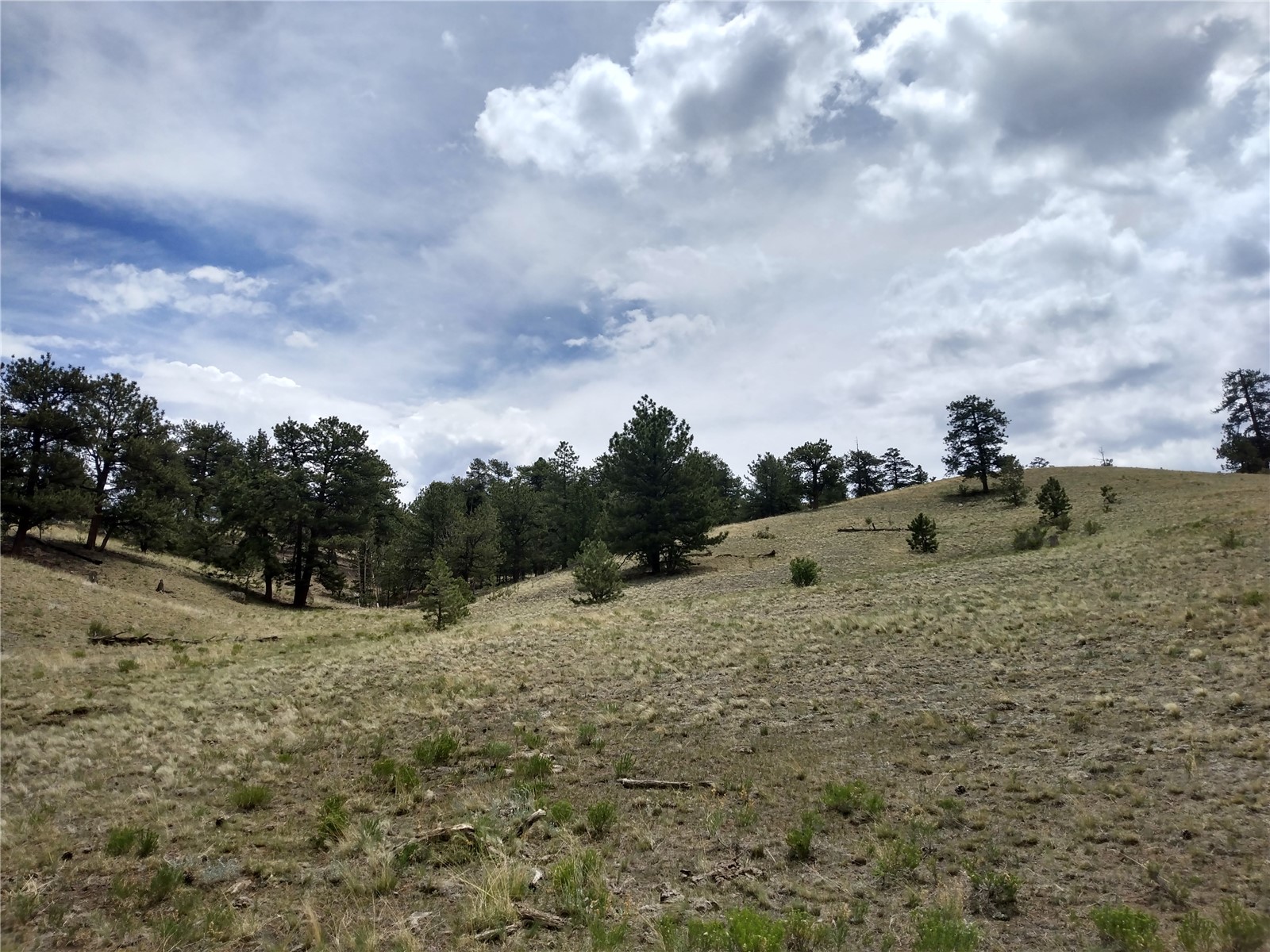 0 Kusha Road Hartsel, CO 80449 - Photo 2 of 9 Gallery Image 2