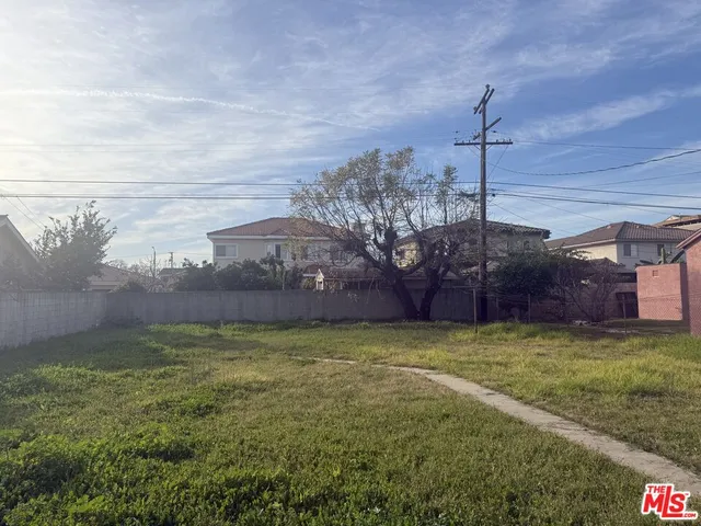 a view of a tree in a yard