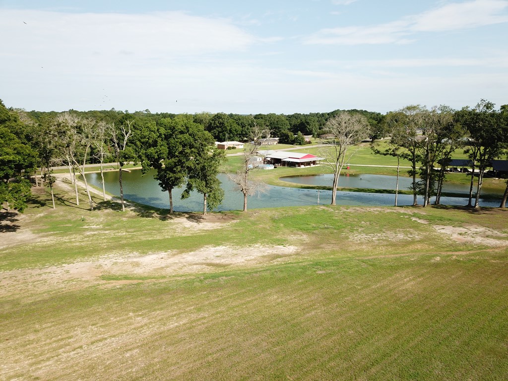 103 Slocomb Al Slocomb, AL 36375 - Photo 19 of 63