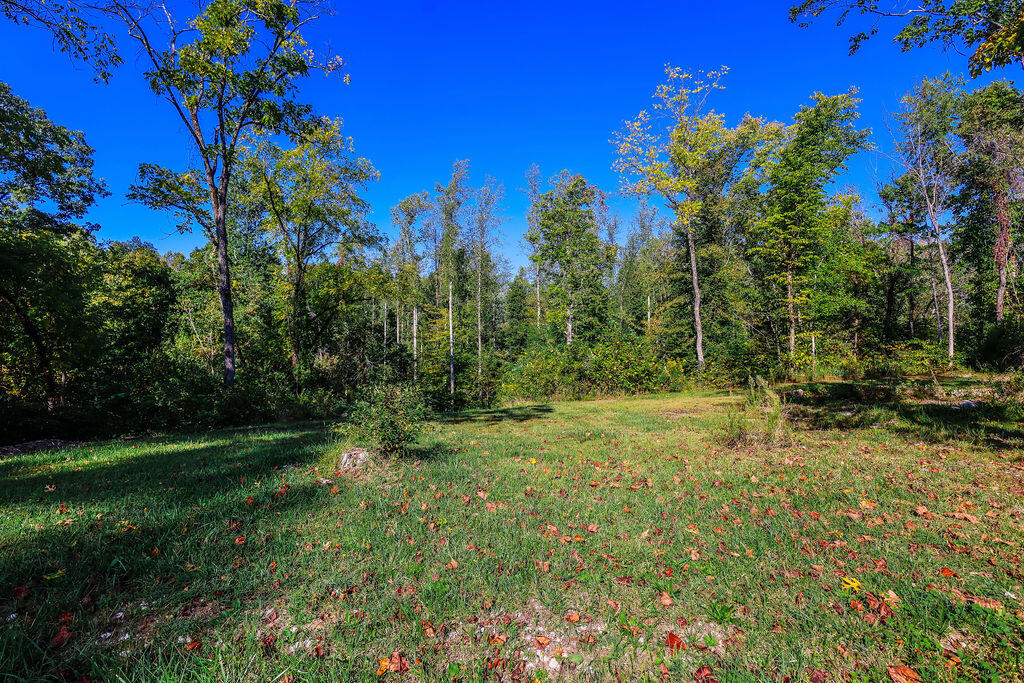 121 Allen Cope Road Frenchburg, KY 40322 - Photo 64 of 73 menifee(67)