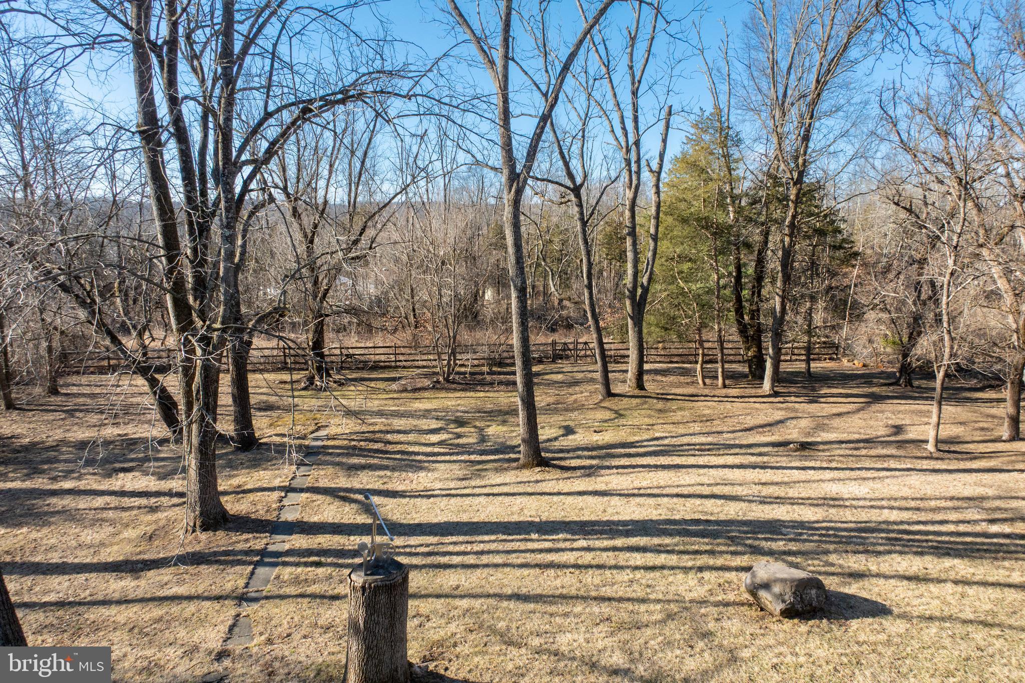 2135 Esten Road Quakertown, PA 18951 - Photo 36 of 47 a view of yard with tree