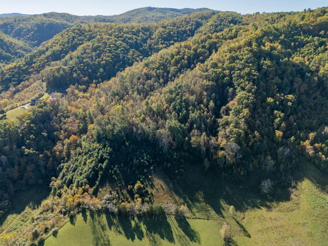 an aerial view of mountain with trees