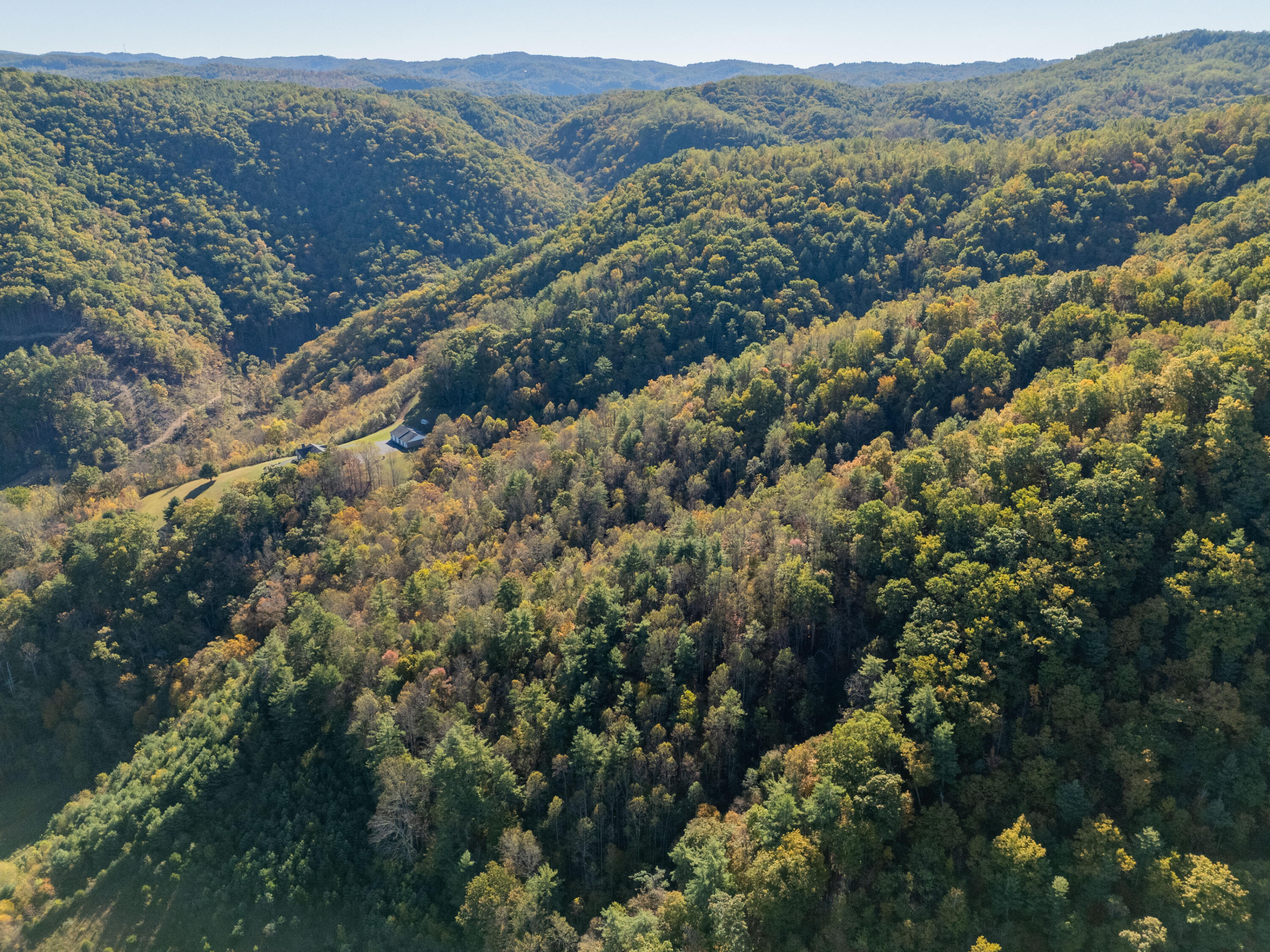 Tbd Lick Ridge Road Northeast Check, VA 24072 - Photo 14 of 71 a view of a forest with mountains in the background