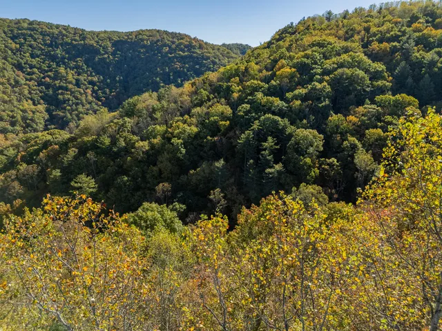a view of city and ocean