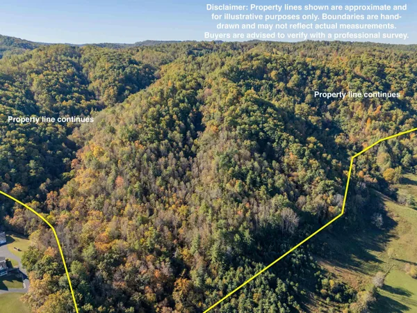 $155,000 | Tbd Lick Ridge Road Northeast, Check, VA 24072