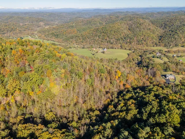 a view of city and mountain