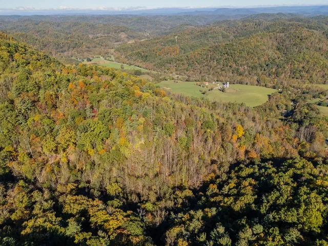 a view of city and mountain