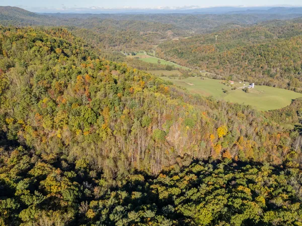 $155,000 | Tbd Lick Ridge Road Northeast, Check, VA 24072