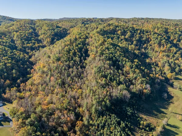 $155,000 | Tbd Lick Ridge Road Northeast, Check, VA 24072