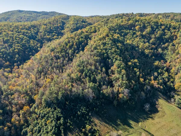 $155,000 | Tbd Lick Ridge Road Northeast, Check, VA 24072