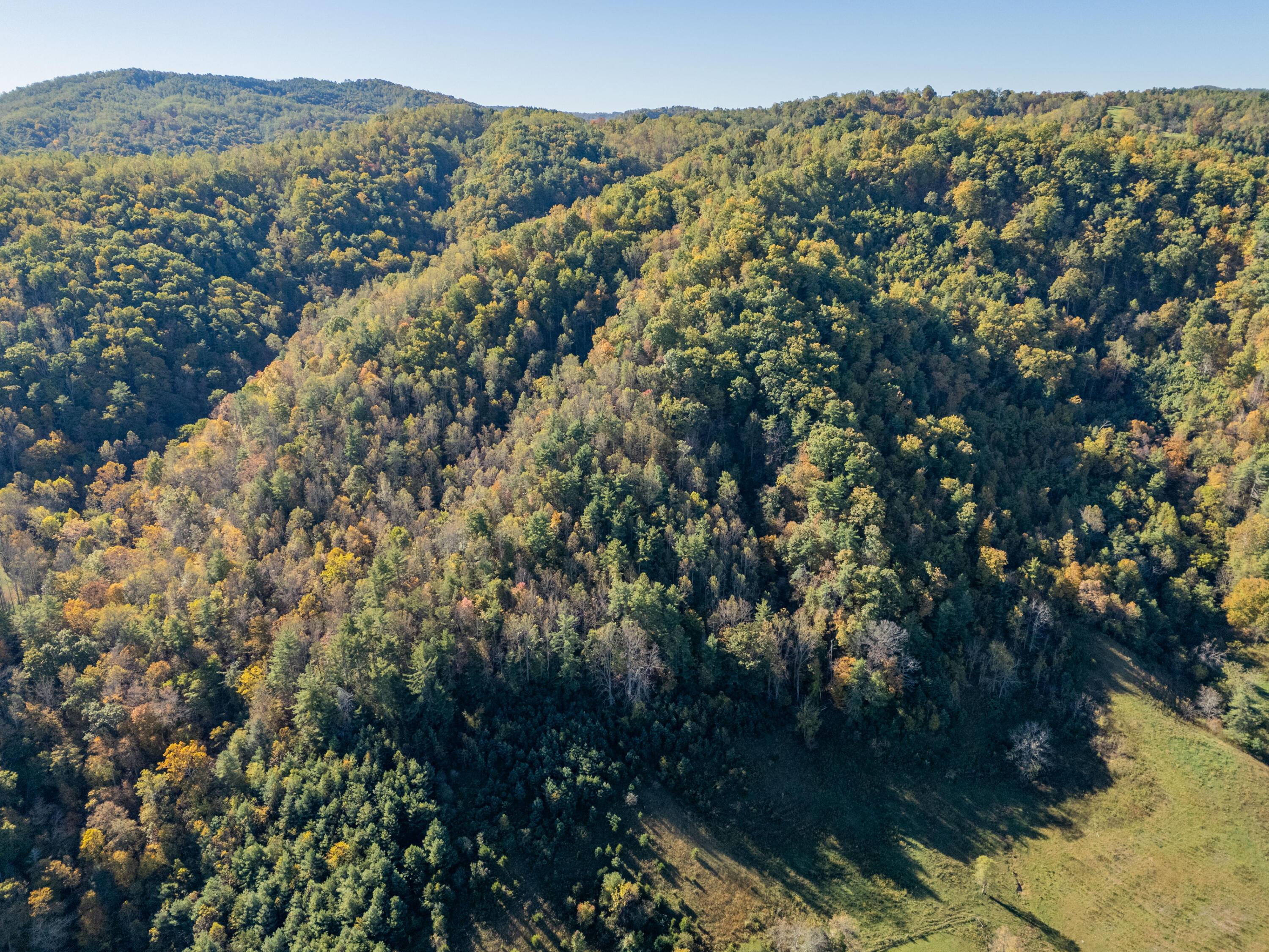 Tbd Lick Ridge Road Northeast Check, VA 24072 - Photo 31 of 71 a view of a forest
