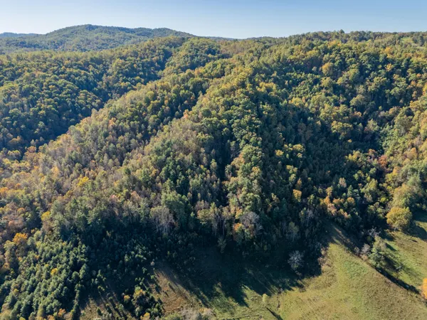 $155,000 | Tbd Lick Ridge Road Northeast, Check, VA 24072